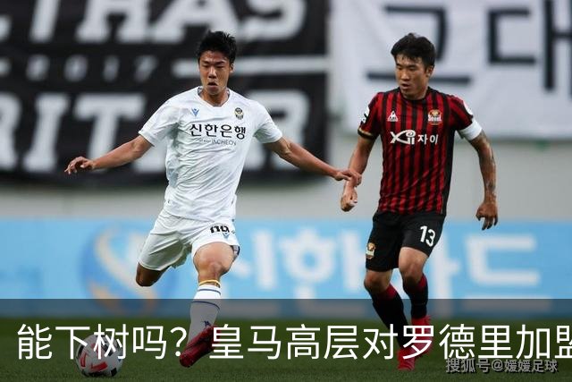 能下树吗？皇马高层对罗德里加盟心存疑虑，赞助商和球迷极力支持