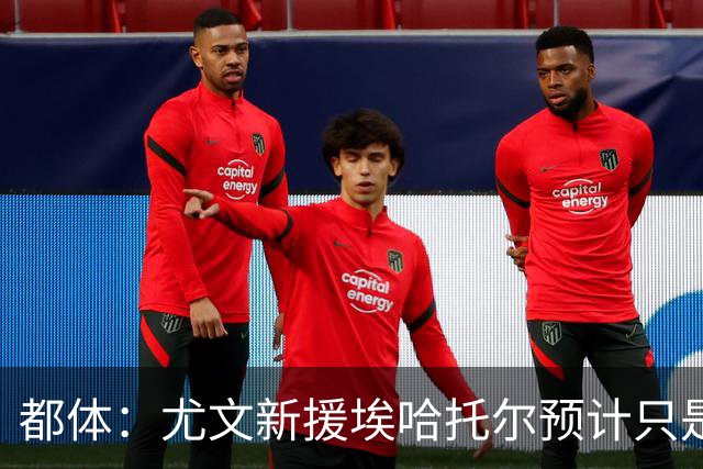 都体：尤文新援埃哈托尔预计只是肌肉不适，问题不大